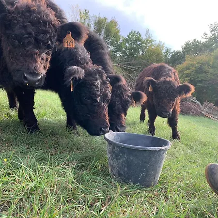 Apartament Fischerhaus - Ruhe Und An Der Dordogne *