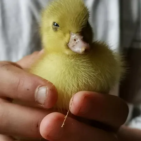 Apartament Fischerhaus - Ruhe Und An Der Dordogne