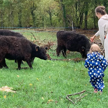 Apartament Fischerhaus - Ruhe Und An Der Dordogne *