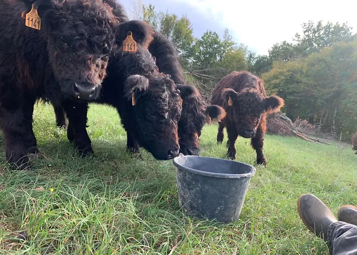 דירה Fischerhaus - Ruhe Und An Der Dordogne *