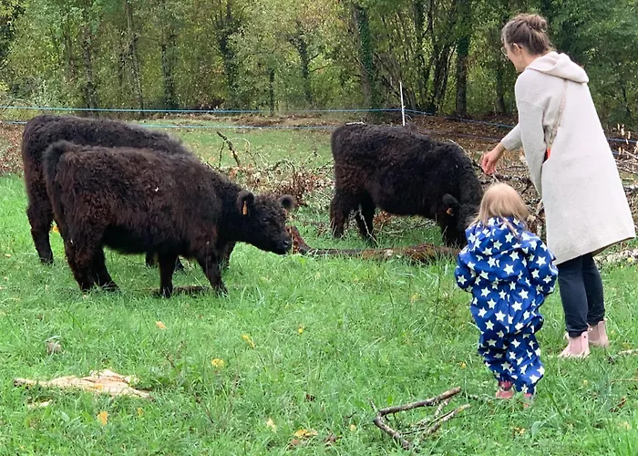 דירה Fischerhaus - Ruhe Und An Der Dordogne *